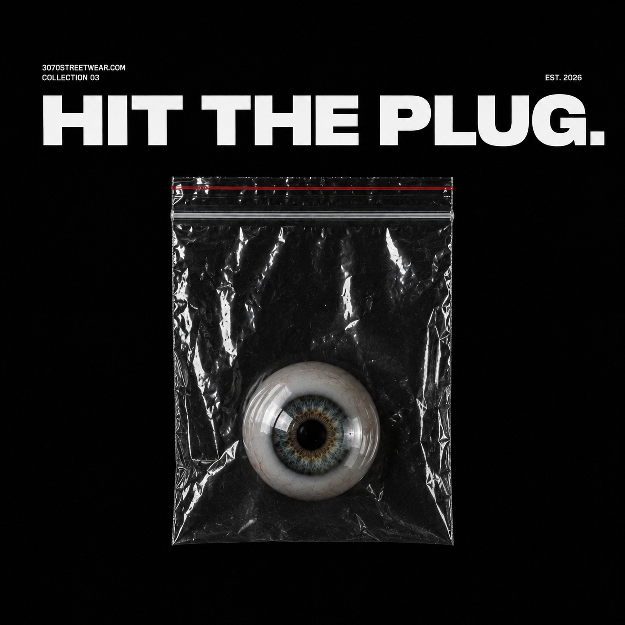 Hit the Plug fashion line poster